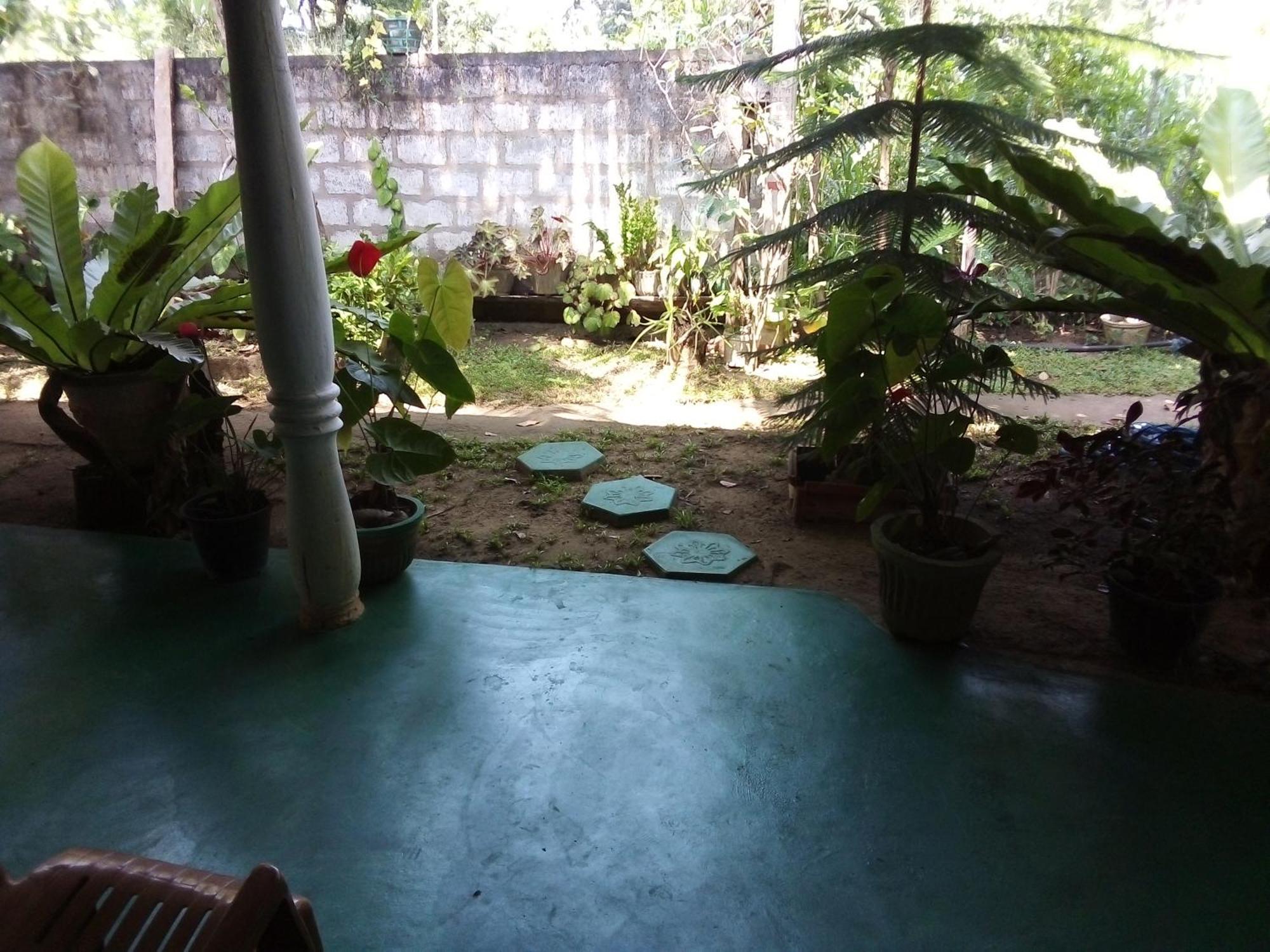 Bandula Home Stay Сигирия Номер фото